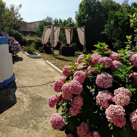 Quinta Do Banco * Aldeia Galega da Merceana e Aldeia Gavinha