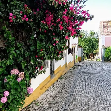 Quinta Do Banco Aldeia Galega da Merceana e Aldeia Gavinha