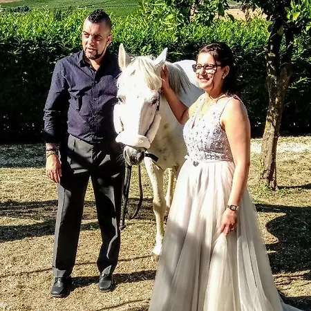 Quinta Do Banco Aldeia Galega da Merceana e Aldeia Gavinha